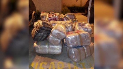 Bllokohet 1 ton kanabsim në tentativë për tu trafikuar