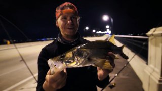 Fishing at Night for Giant Snook - I Caught My PB!