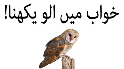 khwabon ki tabeer in urdu - khawab mein ullu(night owl) dekhna