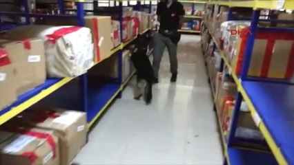 Kanada'dan Kargoyla Gönderilen Uyuşturucu, Rutin Posta Kontrolünde Tespit Edildi