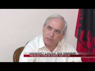 “PSD do dalë e vetme në zgjedhje, fajin e ka PS” - News, Lajme - Vizion Plus