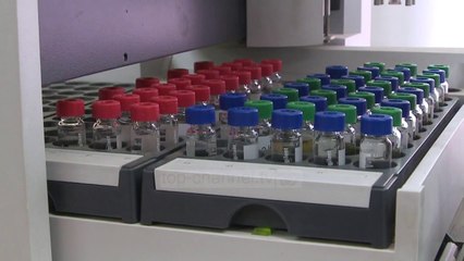 Provat e hashashit, udhëzim i ri për asgjësimin - Top Channel Albania - News - Lajme