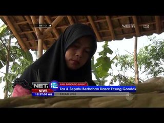 Kreasi Unik Tas dan Sepatu Berbahan Dasar Eceng Gondok - NET12