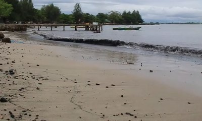 Air Laut Menghitam Akibat Tercemar Batu Bara