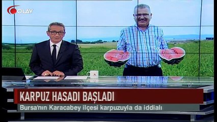 Karpuz hasadı başladı (Haber 06 07 2017)