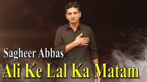 Sagheer Abbas - Ali Ke Lal Ka Matam
