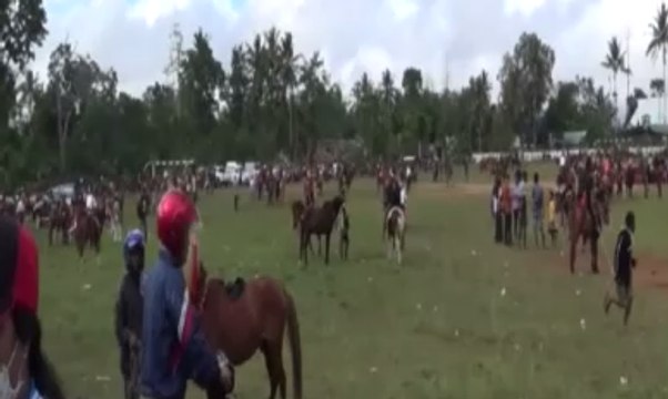 Parade 1001 Kuda Digelar di Sumba