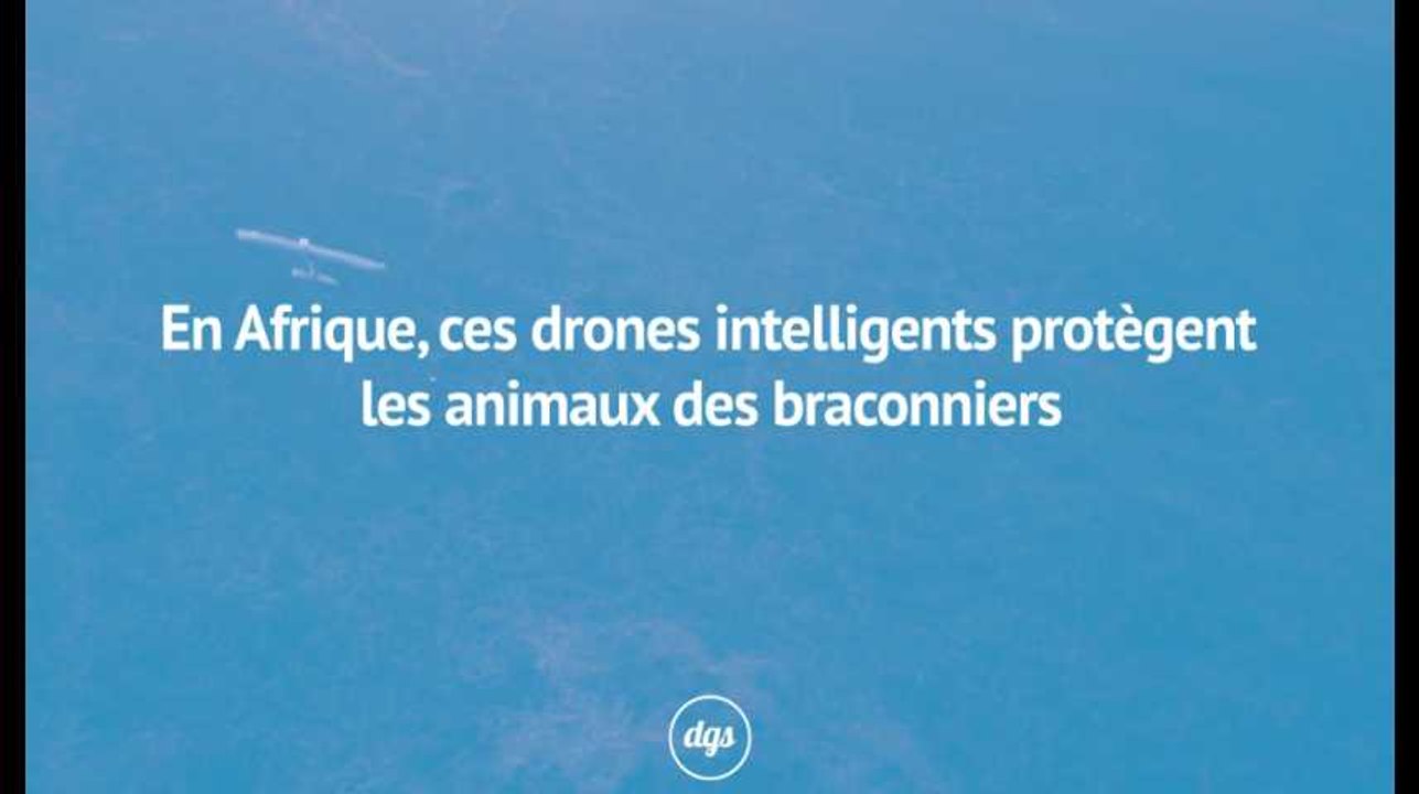 En Afrique, ces drones intelligents protègent les animaux des braconniers