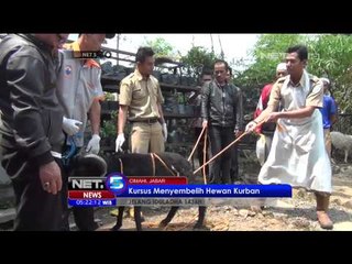 Pelatihan Pemotongan Hewan Kurban - NET5