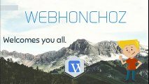 Webhonchoz- Website Designing and Development Company USA