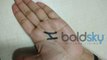 Palm History: Do you have H Letter on your palm | Watch video