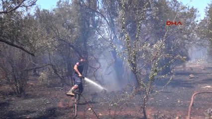 Antalya Çalılık Yangın