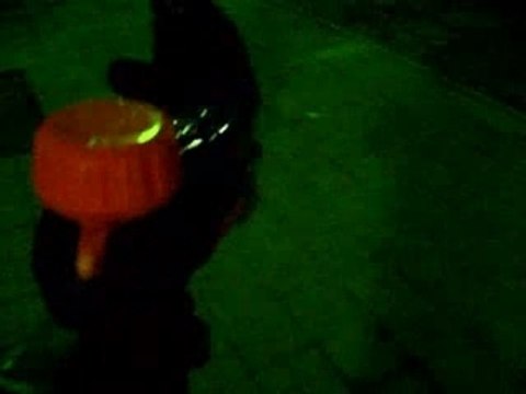 Los nomos conkistaran el mundo 2.2