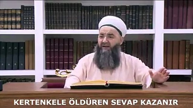 kertenkele öldürene şu kadar ecir wardır diyen şirk rıwe-eyetleri te-erıyhın çöplüğüne atın red edin