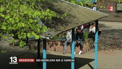 Bac :  après le diplôme, quelle orientation ?