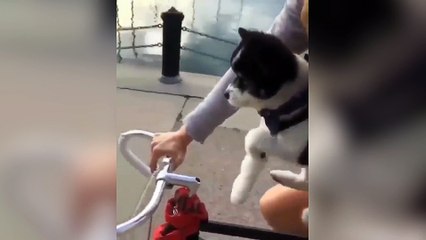 Un chiot pédale en même temps que sa maîtresse !