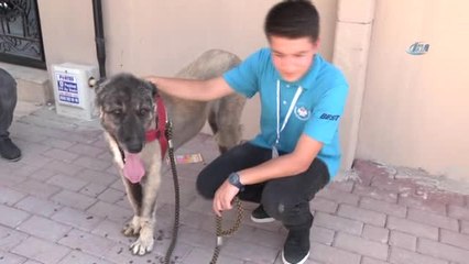 İşkenceye Maruz Kalan 'Masum' Yeni Ailesine Kavuştu