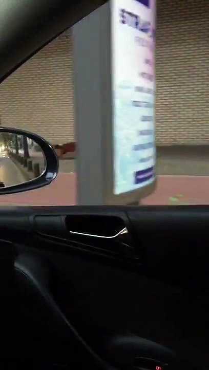 Voortvluchtige halfaap Artis verkent Weesperstraat