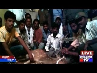 Mandya: Villagers Save A Dying Deer
