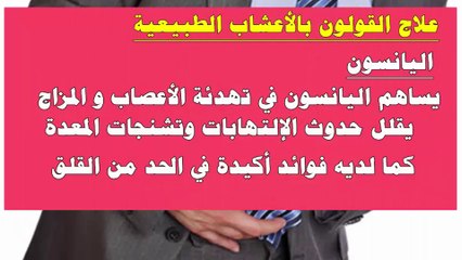 وصفات مهمة ومجربة لعلاج القولون العصبي من الطب البديل