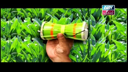 Dugdugi - Episode - 116 on ARY Zindagi in High Quality - 7th July 2017