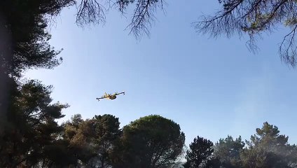 Incendio nella pineta di Castelfusano alle spalle del Dazio 2