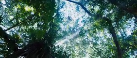 Dwayne Johnson, Jack Black, Kevin Hart In 'Jumanji: Welcome To The Jungle' First Trailer