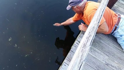 Un bon pêcheur pêche avec une main !