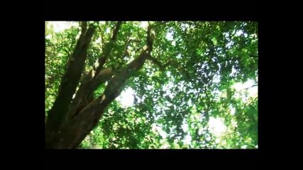 John Gabilou et Moeata  Avini Ute Paroles