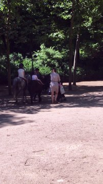 Paris Horse Riding | Anthony S Casey