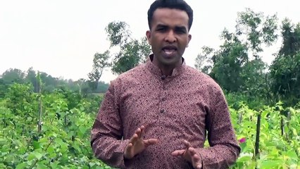 How To Increase Your Sex Power কিভাবে সেক্স পাওয়ার বৃদ্ধি করবেন।