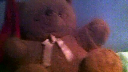 Oso gimnasio y cumpleaños