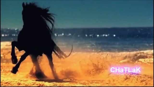 AĞLATAN DANS QAFE 2017 Kopardılar seni benden