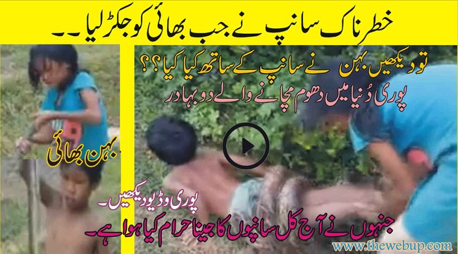 Sister Save Her Brother From Snake (Brother Sister Viral Video) Amazing Video