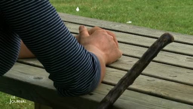 Agriculture: Inquiétude pour les éleveurs du Marais poitevin