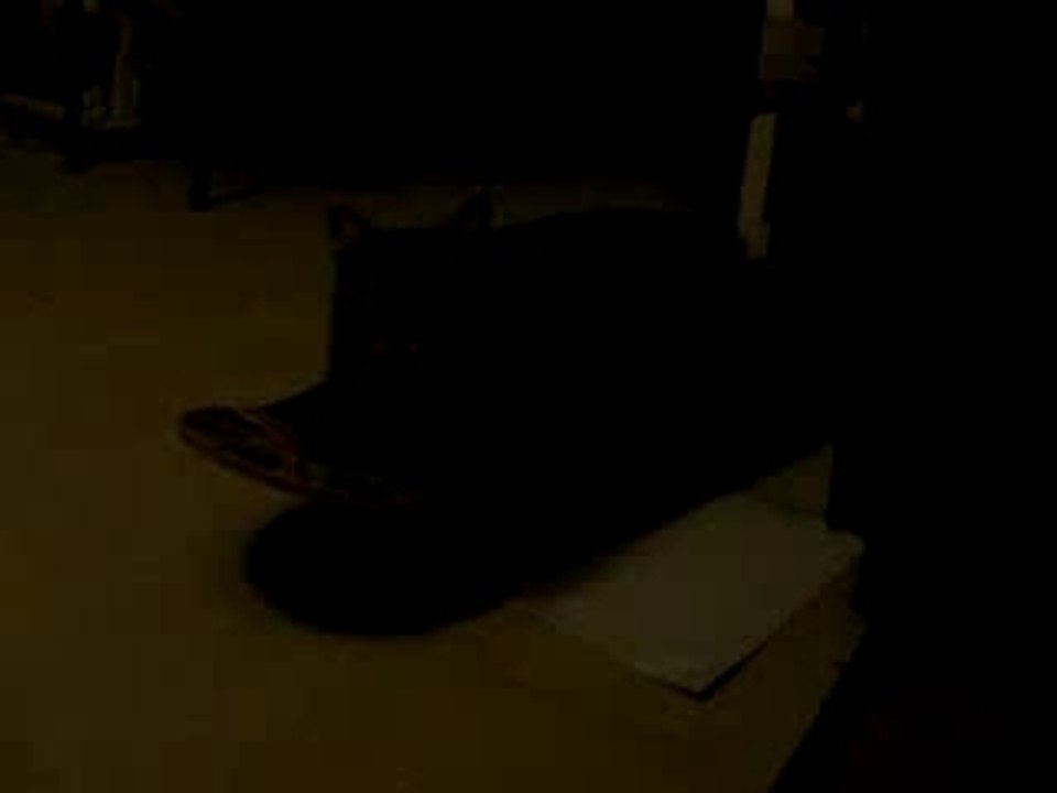 chat skater