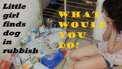 Abandoned dog found in rubbish by young girl. Cão abandonado no lixo.