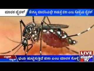 Zika Virus Haunts Indian Parents