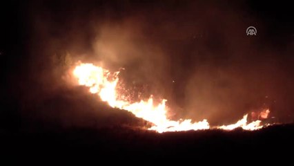 Meyve Bahçesinde Yangın