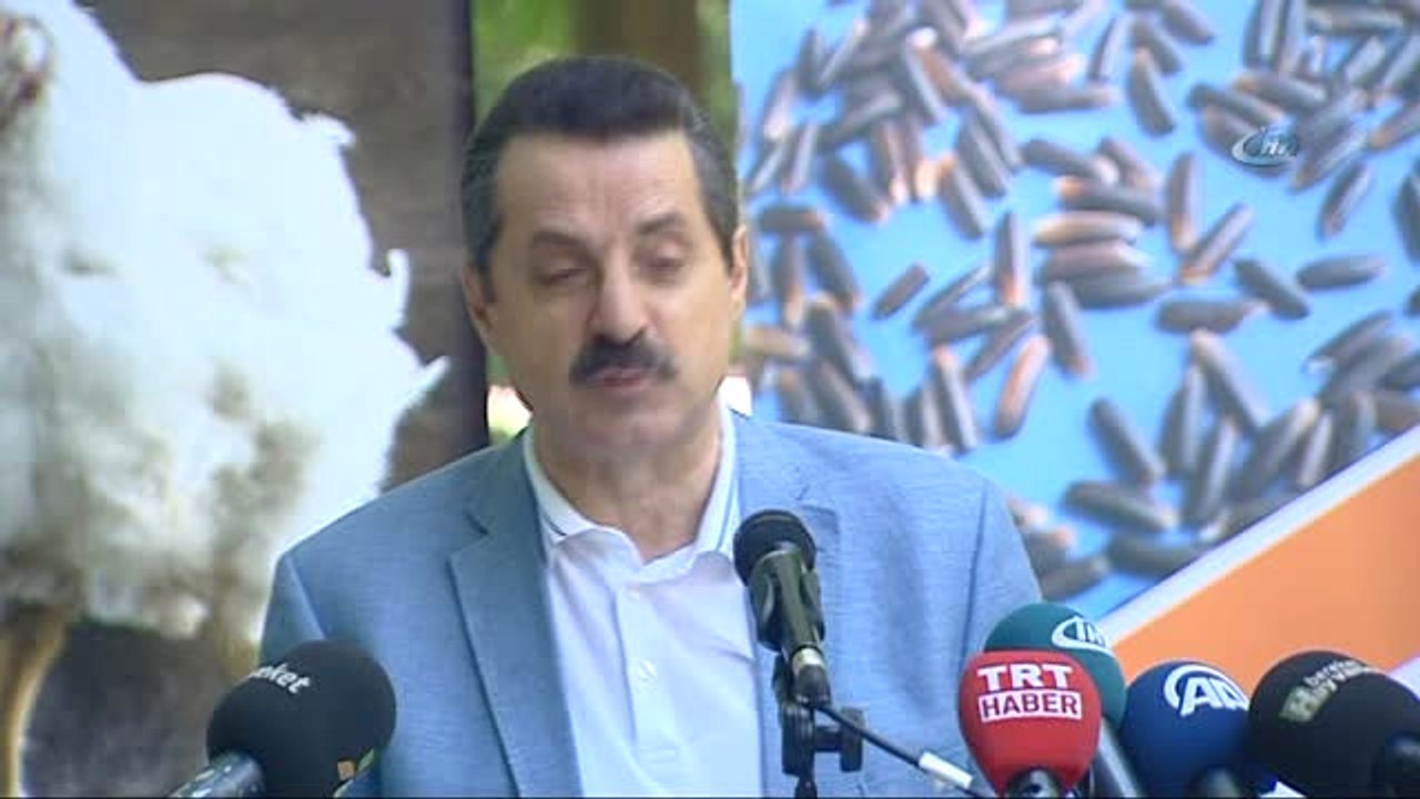 Gıda Tarım ve Hayvancılık Bakanı Faruk Çelik: "Dişi Hayvan Kurban Pazarlarına Girmeyecek.
