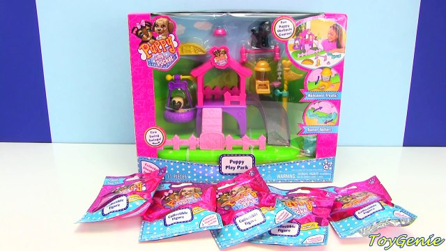 И мешки слепой курс собака в в в в мой Мы препятствие Парк играть карман щенок горка неожиданность качели с