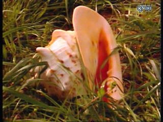 Marisol - Háblame del mar marinero (Karaoke)