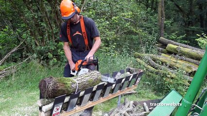 Automatic tree cutting systems