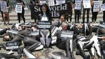 Protestan en Los Ángeles por la muerte de orcas en cautividad en SeaWorld