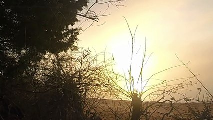 Duck hunting January 18, 2017 Eastern Shore, Maryland