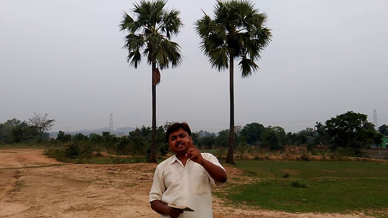 'किताबें कुछ कहना चाहती हैं' (Kitabein Kuchh Kahna Chahti Hain) - By Dipak Kumar Singh