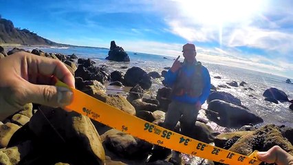 Halibut Surf Fishing - 1 8 2017