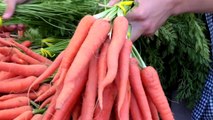 How Baby Carrots Were Accidentally Invented By A Farmer