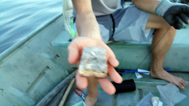 Catfishing with Raw Chicken One of the Best Cheap, Easy to get Catfish Baits