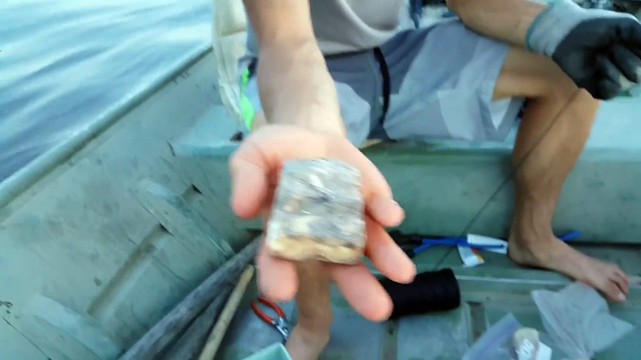 Catfishing with Raw Chicken One of the Best Cheap, Easy to get Catfish Baits